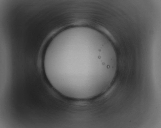 X0000100941122200807081229