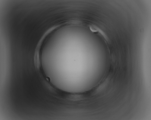 X0000100941123200807081229