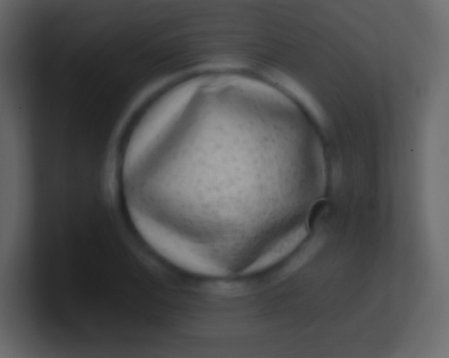 X0000100941124200807081229