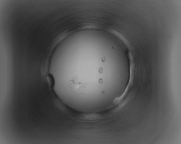 X0000100941129200807081229