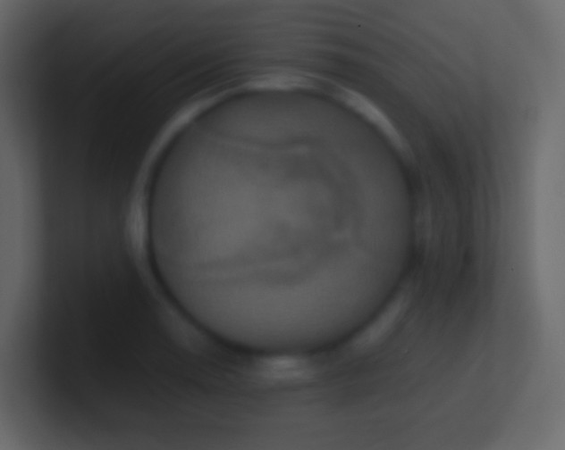 X0000100941130200807081229