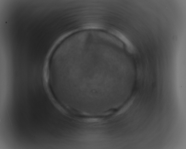 X0000100941132200807081229