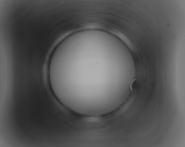 X0000100941134200807081229