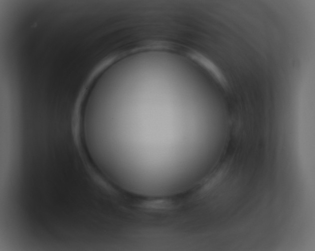 X0000100941135200807081229