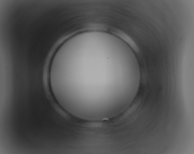 X0000100941136200807081229