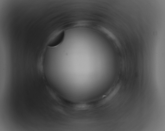 X0000100941137200807081229