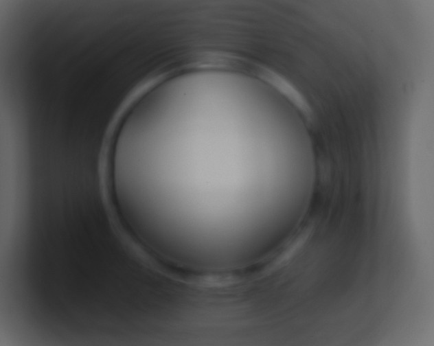 X0000100941138200807081229