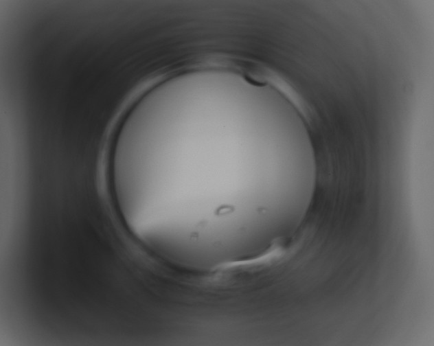 X0000100941139200807081229