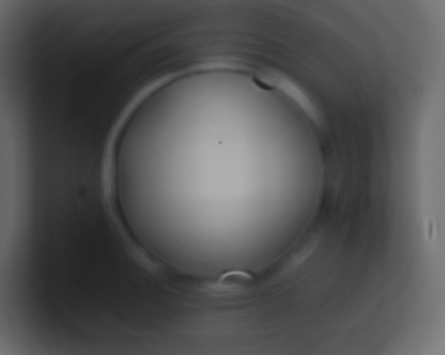 X0000100941140200807081229