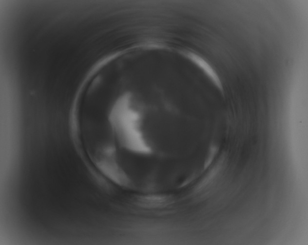 X0000100941141200807081229