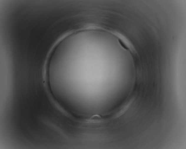 X0000100941142200807081229