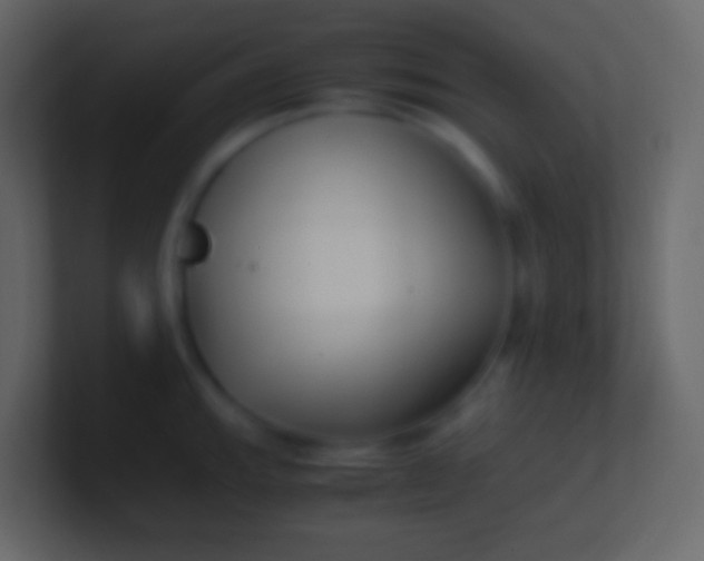 X0000100941143200807081229