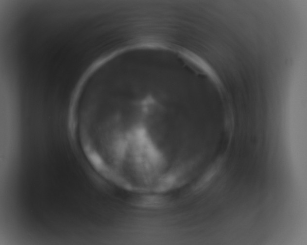 X0000100941144200807081229