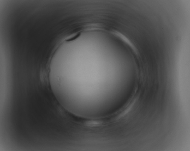 X0000100941145200807081229