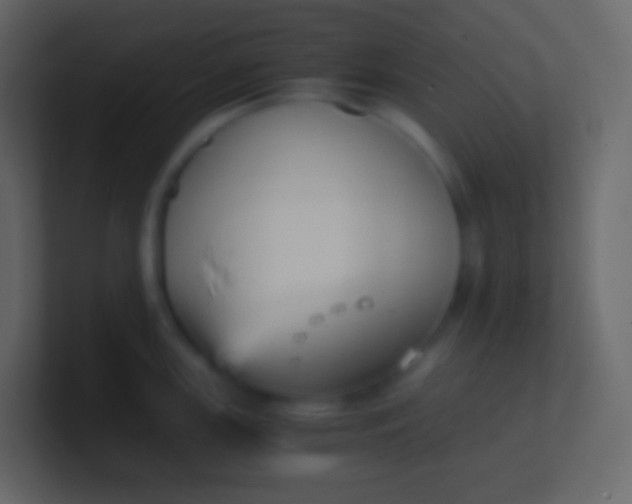 X0000100941147200807081229