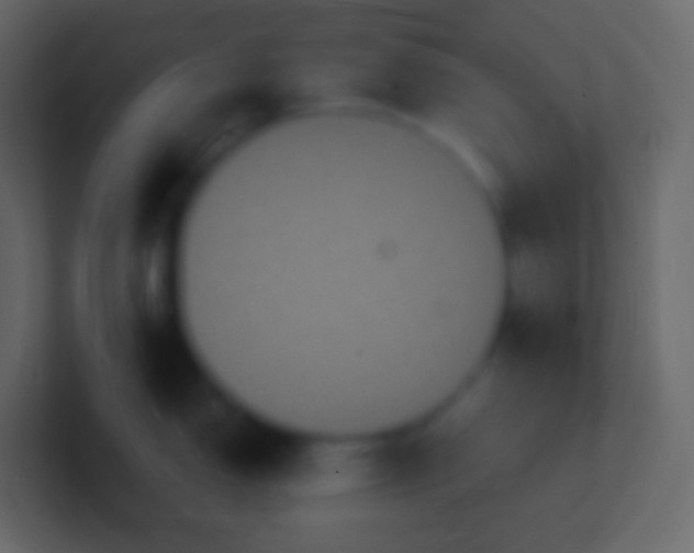 X0000100941150200807081229