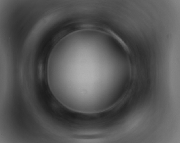 X0000100941151200807081229