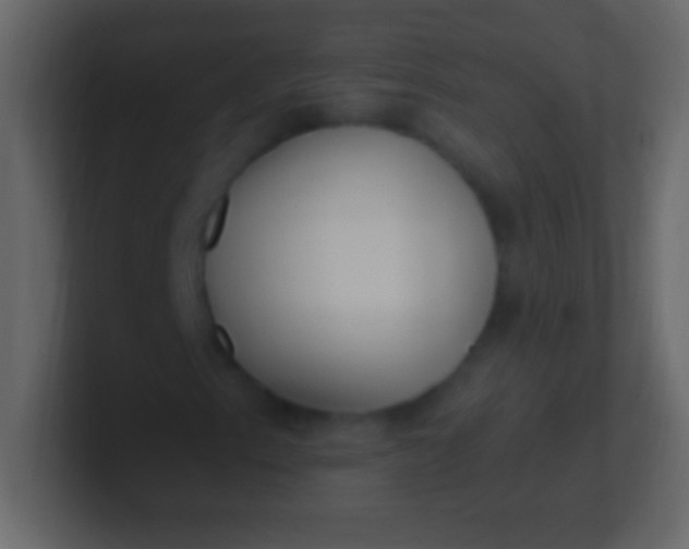 X0000100941153200807081228