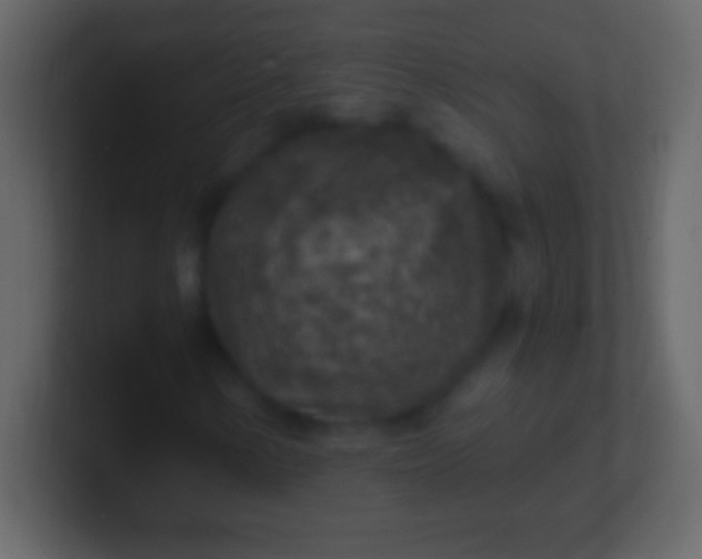 X0000100941154200807081228