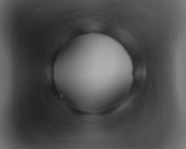 X0000100941156200807081228