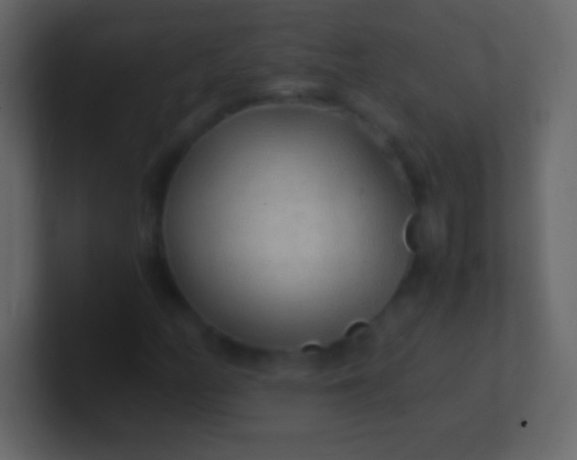 X0000100941158200807081228