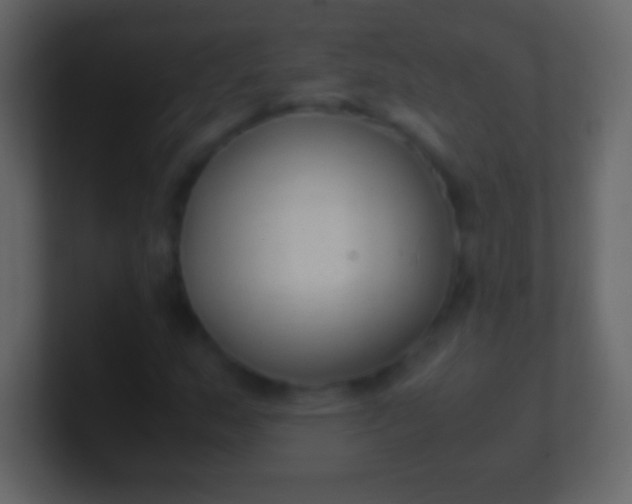 X0000100941159200807081228