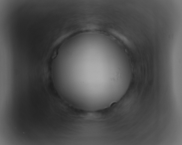 X0000100941160200807081228