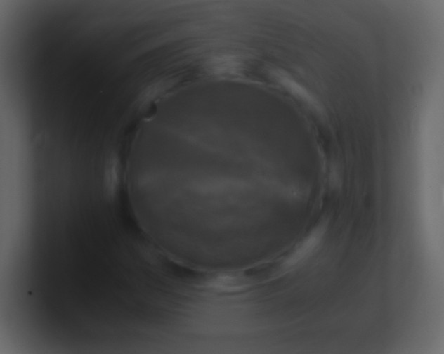 X0000100941161200807081228