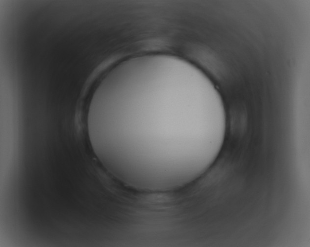 X0000100941164200807081228