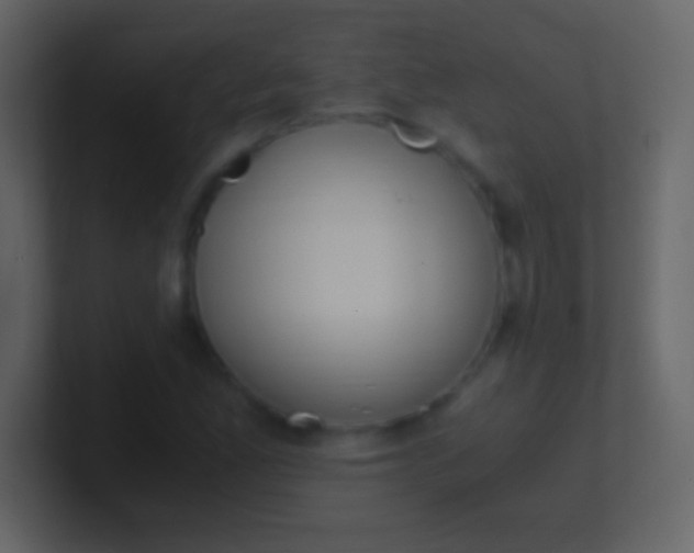 X0000100941165200807081228