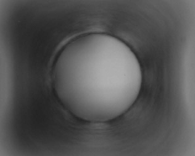 X0000100941168200807081228