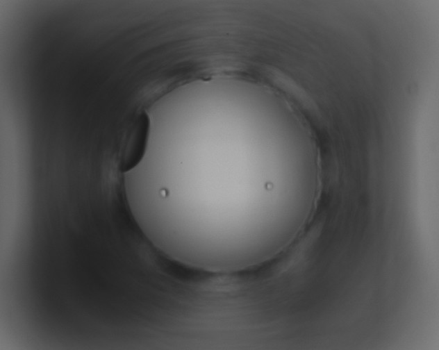 X0000100941169200807081228