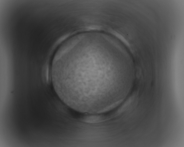 X0000100941171200807081228