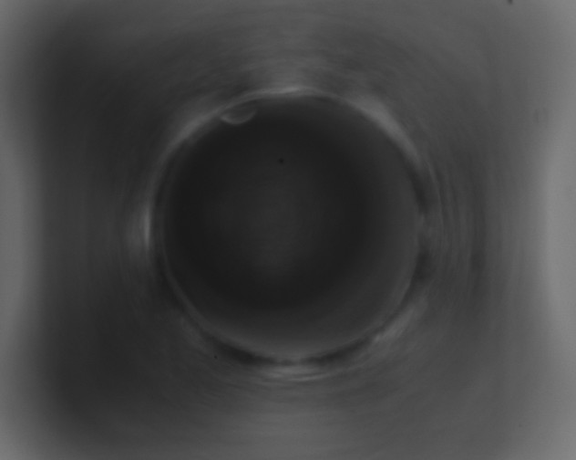 X0000100941173200807081228