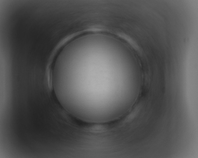 X0000100941175200807081228