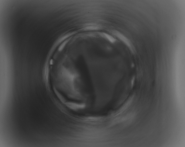 X0000100941179200807081228