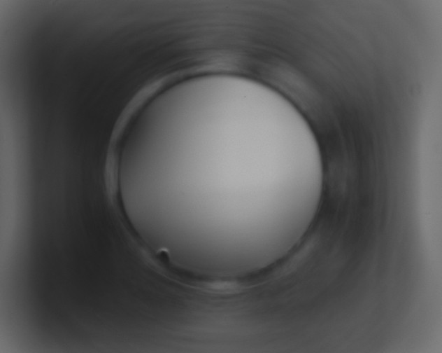 X0000100941180200807081228