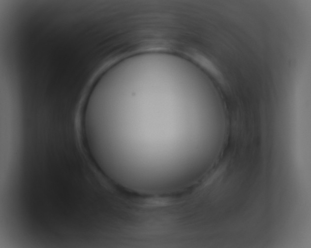 X0000100941181200807081228