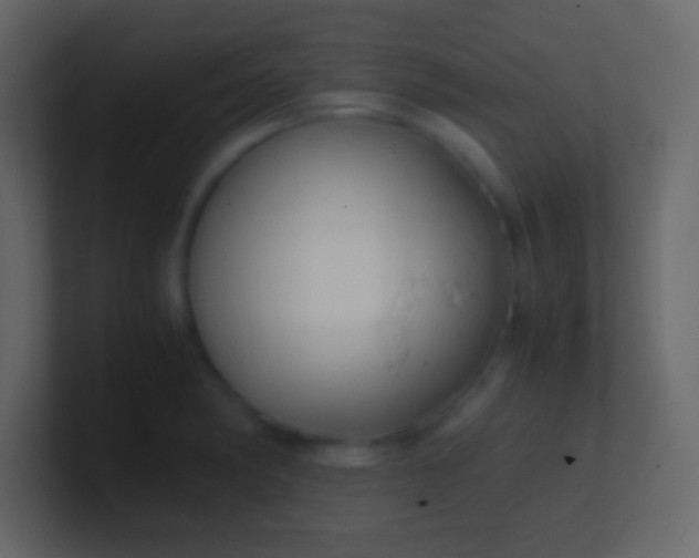 X0000100941182200807081228