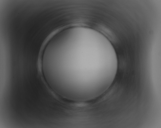 X0000100941188200807081228