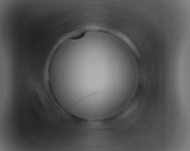 X0000100941191200807081228