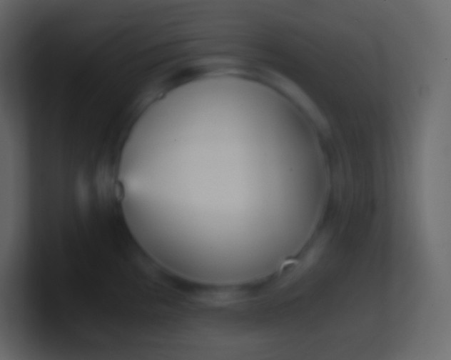 X0000100941193200807081228