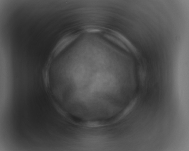 X0000100941194200807081228