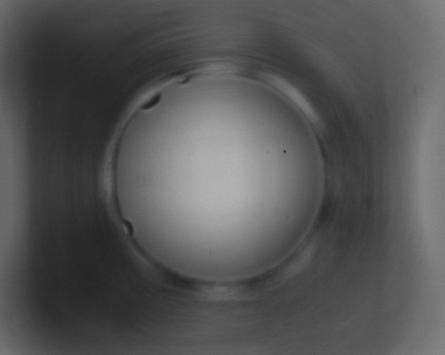 X0000100941195200807081228