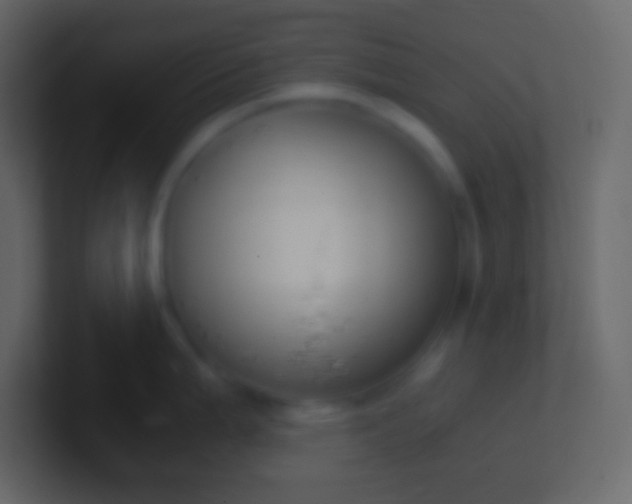 X0000100941199200807081228