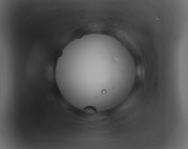 X0000100941203200807081227