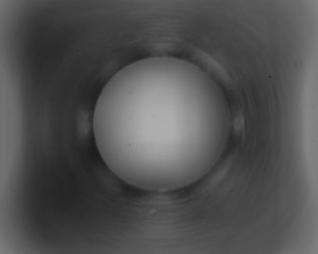 X0000100941204200807081227