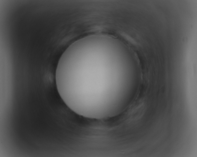 X0000100941206200807081227