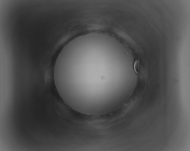 X0000100941208200807081227