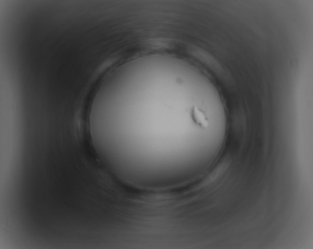 X0000100941210200807081227